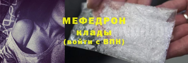прущие грибы Саяногорск