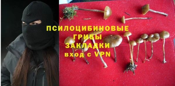 а пвп мука Аркадак
