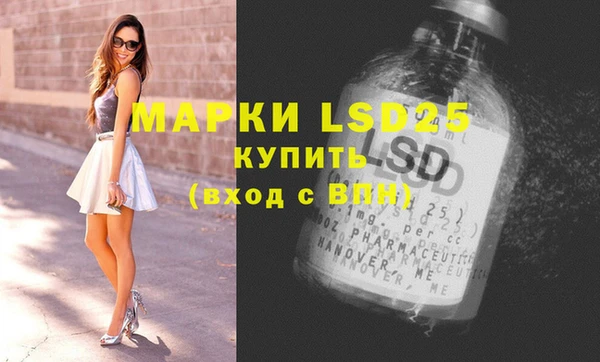 индика Балахна