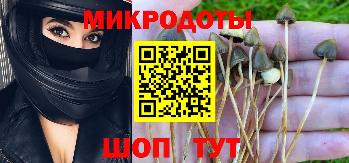 Псилоцибиновые грибы ЛСД Ижевск